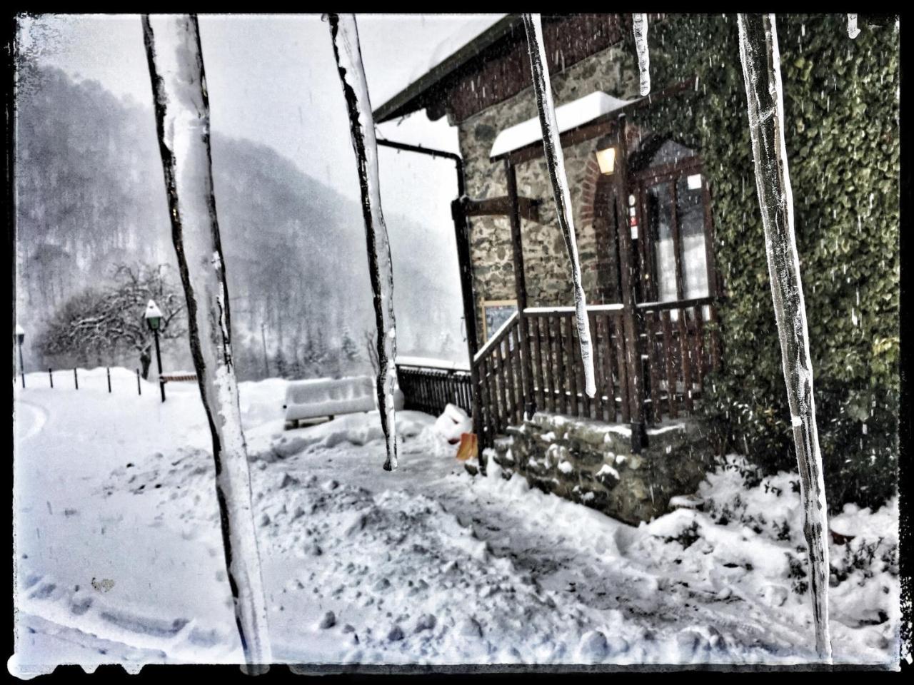 B&B Vinicola23 Limone Piemonte Kültér fotó